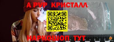 гашик Тара