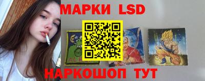 гашик Тара