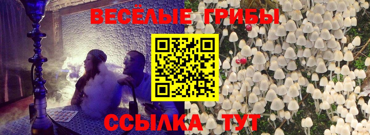 Мурманск  Псилоцибиновые грибы Cubensis  Вход с VPN 
